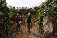 El plan de fumigación para evitar mosquitos sigue vigente en 16 pueblos de la provincia de Valencia tras Dana