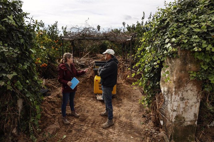 Propietario y un perito agrícola observan el campo de naranjos arrasado por la Dana