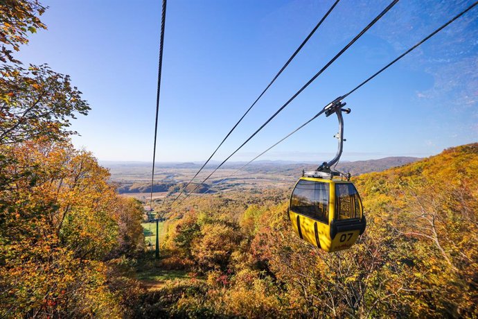 Asahikawa-autumn (c) Hokkaido Tourism Organization