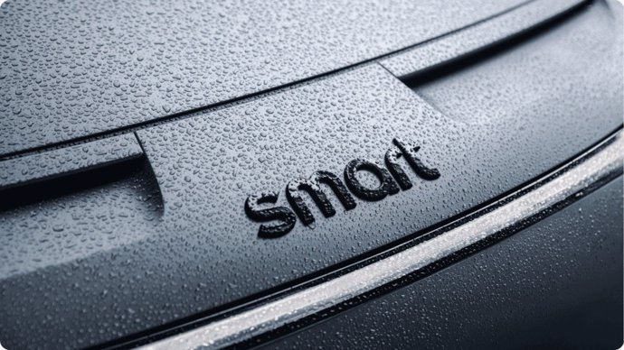 Logo Smart