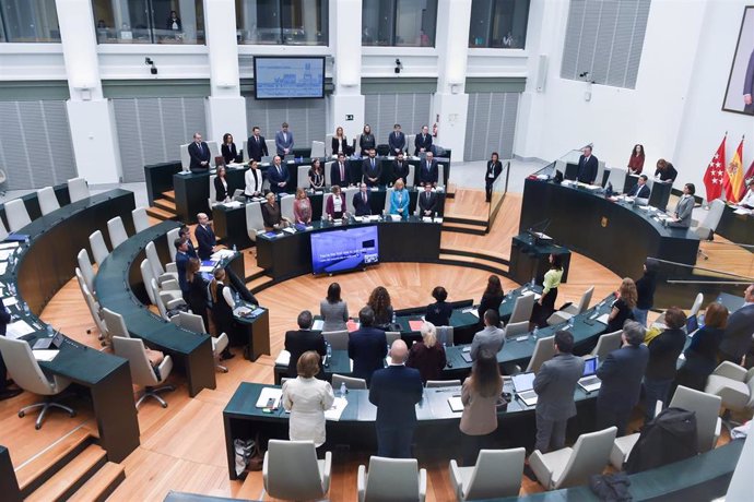 Pleno del Ayuntamiento de Madrid, en el Palacio de Cibeles, a 26 de noviembre de 2024