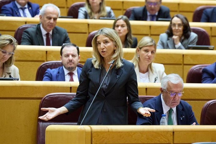 La portavoz del PP en el Senado, Alicia García, interviene en el Senado, a 12 de noviembre de 2024, en Madrid (España).