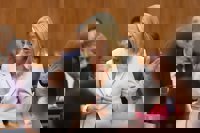 La consejera de Salud comparece en el Parlamento por los informes de Intervención sobre contratos de emergencia del SAS