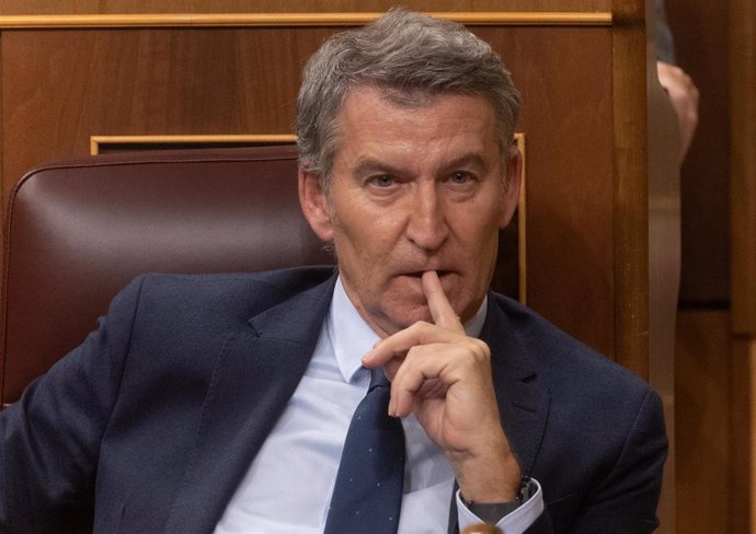 El presidente del PP, Alberto Núñez Feijóo, durante una sesión plenaria en el Congreso de los Diputados, a 20 de noviembre de 2024, en Madrid (España). 