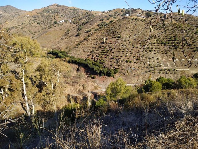 Archivo - Imagen de archivo de una zona de caminos rurales en Málaga.