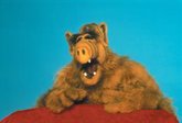 Foto: En AMC se vuelven 'Locos por la Navidad'... e invitan a ALF a la fiesta