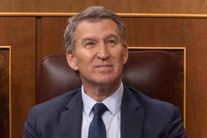 El president del PP, Alberto Núñez Feijóo, durant una sessió de control al Govern, a 20 de novembre del 2024, a Madrid (Espanya). 