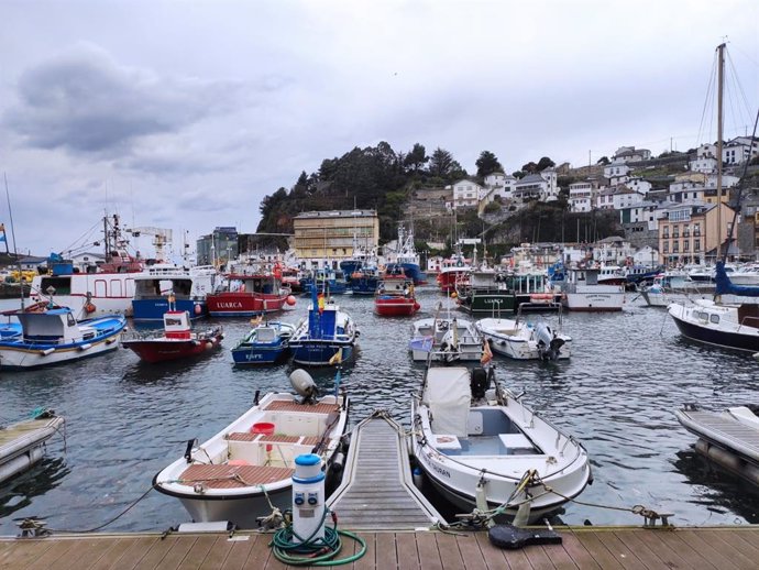 Archivo - Puerto de Luarca, pesca