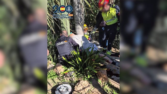 Un torniquet evita que un ancià es dessagne després de caure d'un arbre mentre podava a Oriola.