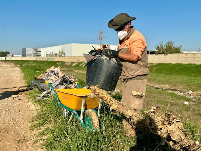 Retirada de residuos en el parque natural de l'Albufera