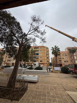 Educació inicia la instal·lació d'aules prefabricades al CEIP La Fila d'Alfafar per a acollir a l'alumnat del CEIP Orba