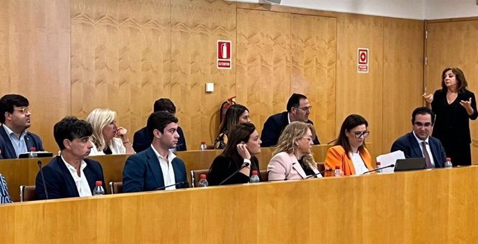 Imagen de los miembros del PP en el pleno