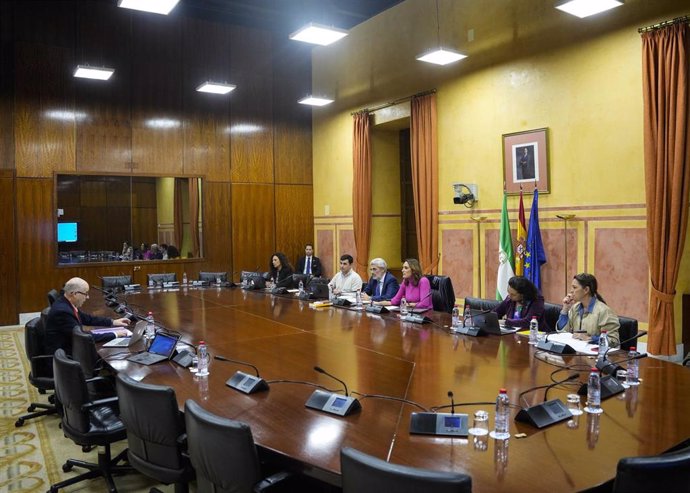 Sesión del grupo de trabajo relativo a la violencia de género constituido en el Parlamento andaluz. (Foto de archivo).