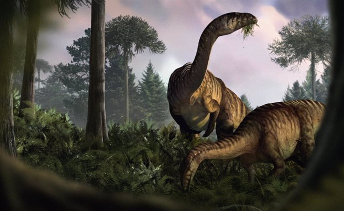 Un dúo de sauropodomorfos; uno masticando las plantas recién evolucionadas en un ambiente húmedo del Jurásico Temprano mientras el otro mira hacia arriba como si hubiera algo escondido en la vegetación.