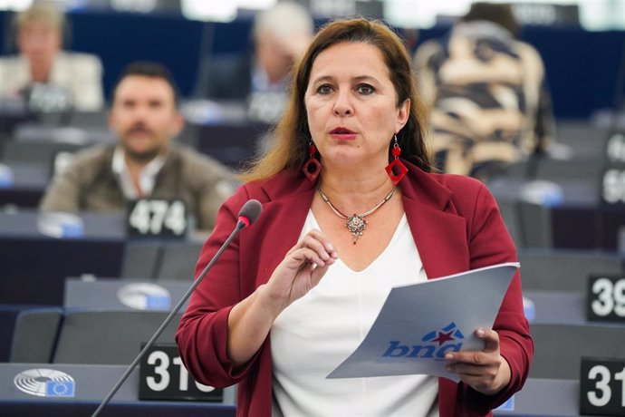 Archivo - Miranda (BNG) traslada a la Comisión Europea la reforma de la ley de medios al considerar que "incumple" el reglamento