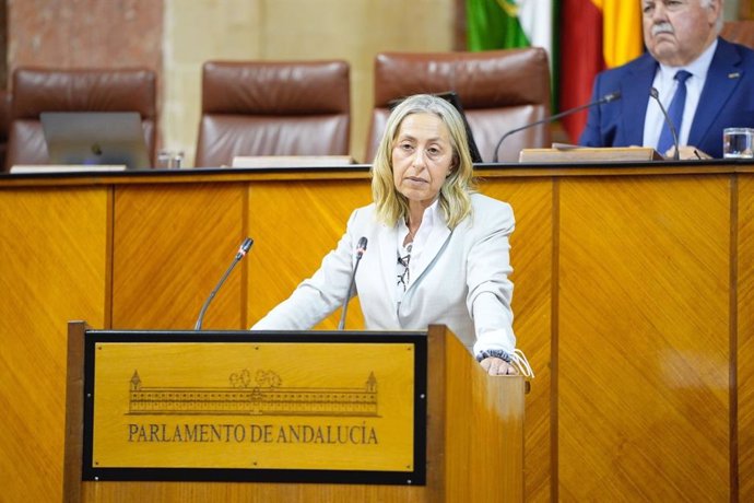 La consejera de Salud y Consumo, Rocío Hernández, comparece en el Pleno del Parlamento andaluz.