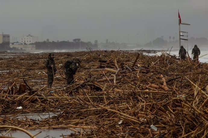 Militares de la Armada patrullan la Platja de l'Arbre del Gos, a 13 de noviembre de 2024, en Valencia, Comunidad Valenciana (España). El pasado 29 de octubre una DANA asoló la provincia de Valencia. La peor gota fría del país en el siglo se salda con 215 