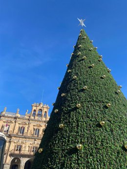 Árbol de Navidad en la plaza Mayor de Salamanca.