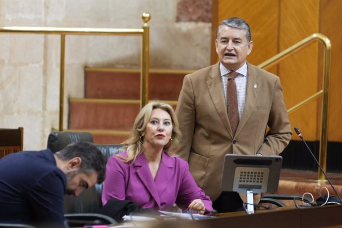 El consejero de la Presidencia, Antonio Sanz, este jueves en el Pleno del Parlamento.