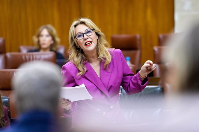 La consejera de Economía, Hacienda y Fondos Europeos, Carolina España, en el Pleno del Parlamento.