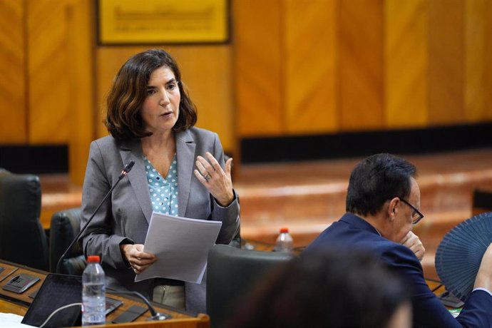 La consejera de Empleo, Empresa y Trabajo Autónomo de la Junta de Andalucía, Rocío Blanco, interviene en el Parlamento de Andalucía en una imagen de archivo. 