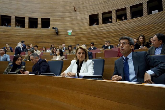 Sesión de control al 'president' de la Generalitat, Carlos Mazón, este jueves en Les Corts Valencianes