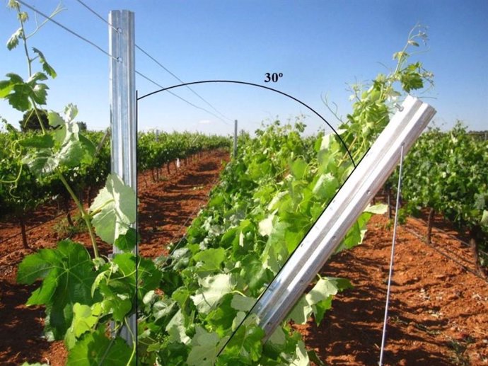 El ensayo se realizó durante dos temporadas en un viñedo de Vitis vinifera L. Cv. Bobal situado en Requena (Valencia), bajo un clima templado-cálido.