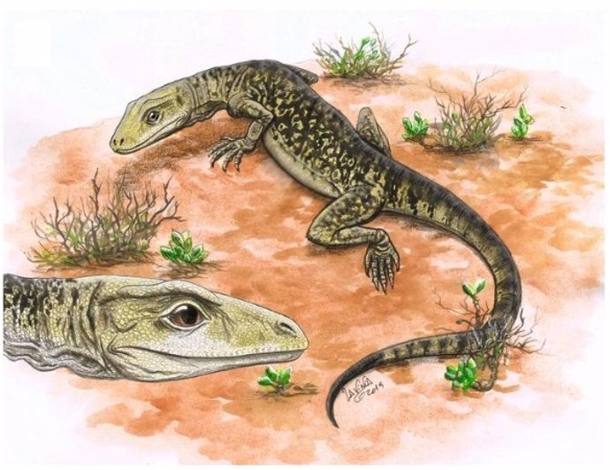 Restauración de la vida del lagarto más antiguo, Cryptovaranoides microlanius