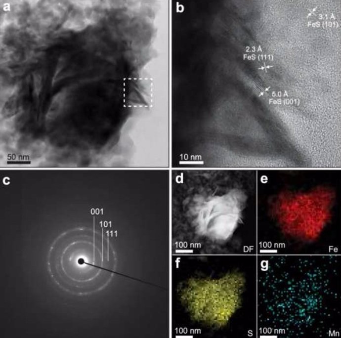 La microscopía electrónica de transmisión de barrido revela características del catalizador de sulfuro de hierro (mackinawita).