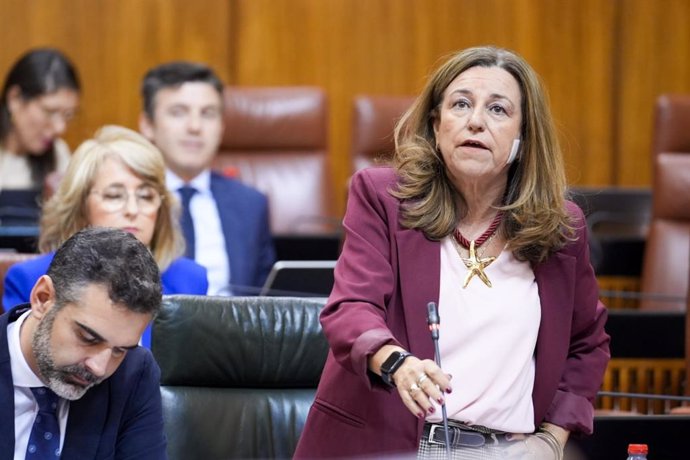 La consejera de Desarrollo Educativo y Formación Profesional, María del Carmen Castillo, en pleno parlamentario el 28 de noviembre de 2024.