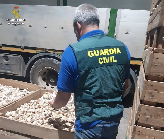 Agente de la Guardia Civil durante la investigación en La Mancha conquense por estafa en la venta de ajos.