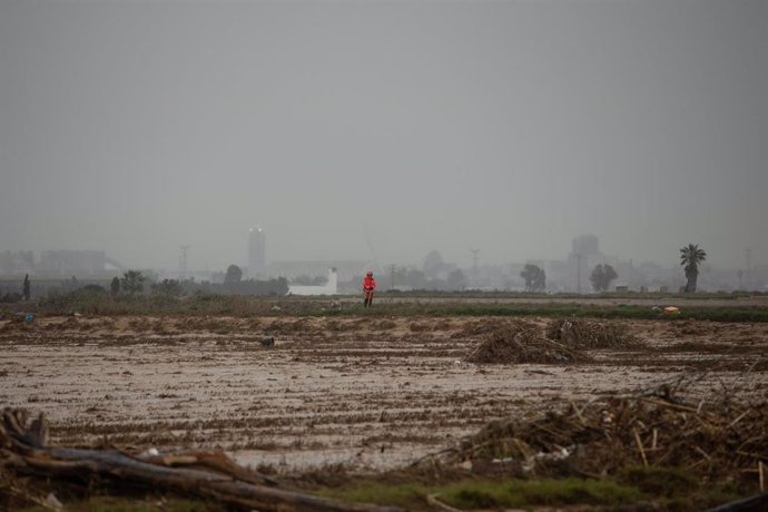 Imagen de l'Albufera de València tras el paso de la dana.