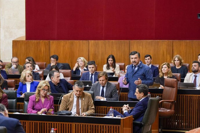 El portavoz del PP-A en el Parlamento de Andalucía, Toni Martín, este jueves durante su pregunta en el Pleno al presidente de la Junta, Juanma Moreno. 