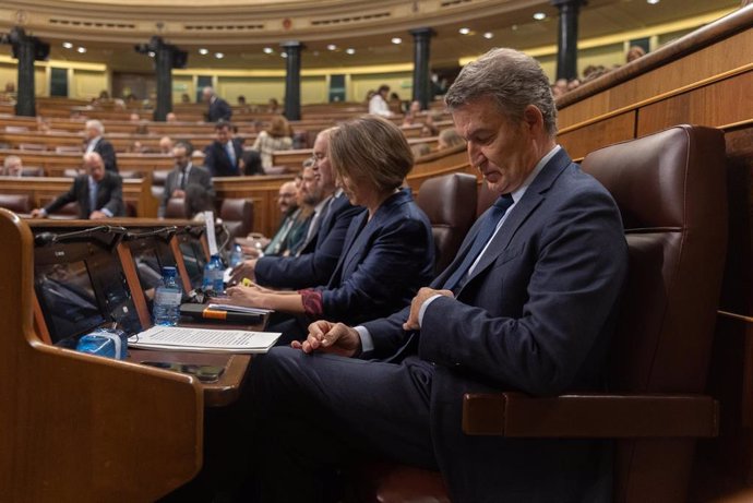 El presidente del PP, Alberto Núñez Feijóo, a 20 de noviembre de 2024, en Madrid (España). 