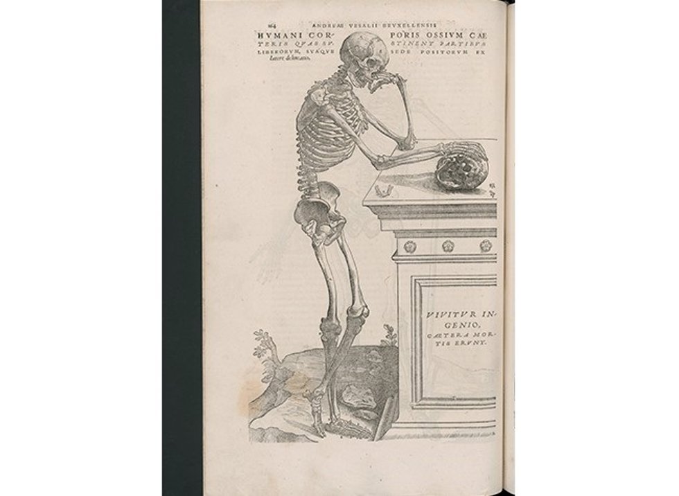 Andrea Vesalio, De Humani corporis fabrica libre septem, Basilea Ioannis Oporini, 1543.