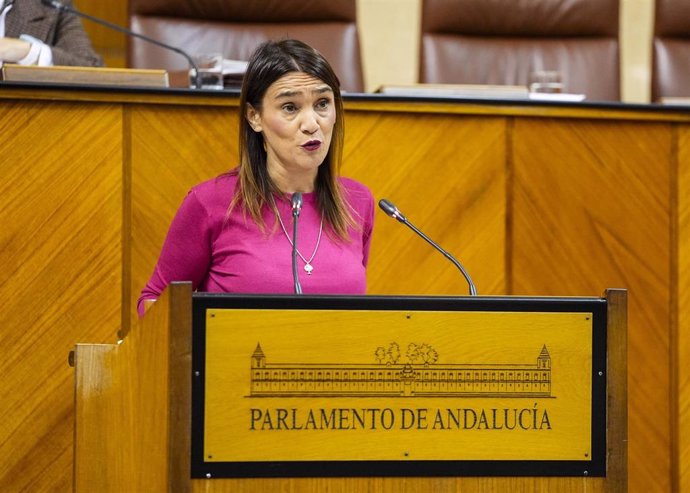 La diputada del PSOE-A Olga Manzano interviene en el Pleno del Parlamento andaluz.