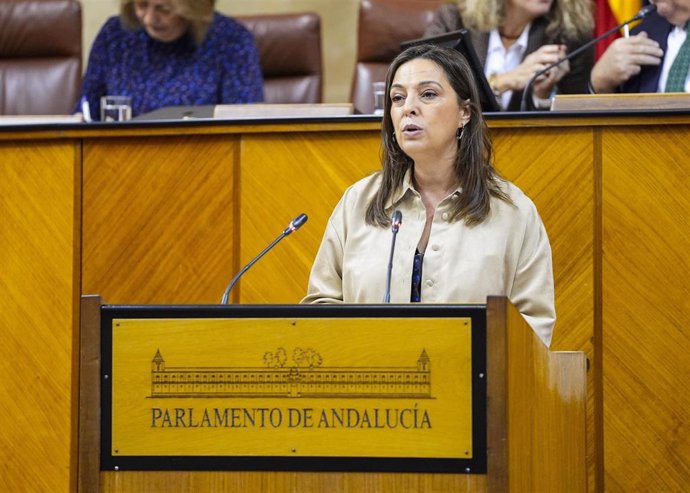 La parlamentaria socialista Isabel Ambrosio, este jueves en el Pleno en la defensa de la moción sobre vivienda.