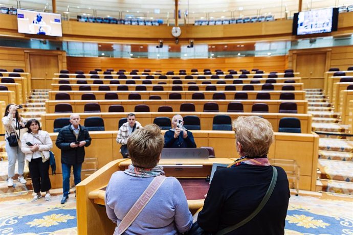 Varias personas durante la jornada de Puertas Abiertas en la Cámara Alta, a 28 de noviembre de 2024, en Madrid (España). Como es habitual cada año, el Senado se suma a la celebración del Día de la Constitución española abriendo sus puertas a todos los ciu