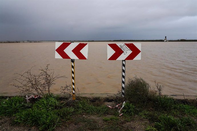 Agua turbia tras las lluvias de la nueva DANA en la Albufera