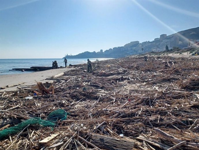 Agentes Forestales regresan a Madrid tras 17 días buscando en las playas afectadas por la DANA