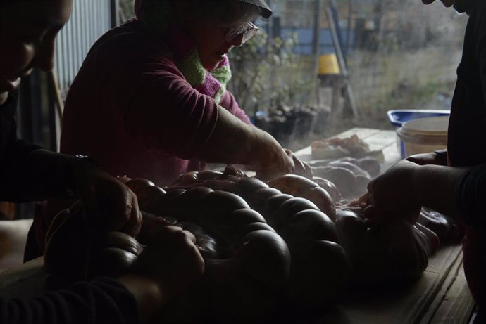 Archivo - Matanza doméstica de cerdos en una casa, como imagen de recurso-