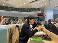 CERMI Mujeres exige en la UE "auditorías efectivas" de accesibilidad de los servicios de violencia de género