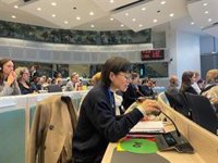 CERMI Mujeres exige en la UE "auditorías efectivas" de accesibilidad de los servicios de violencia de género