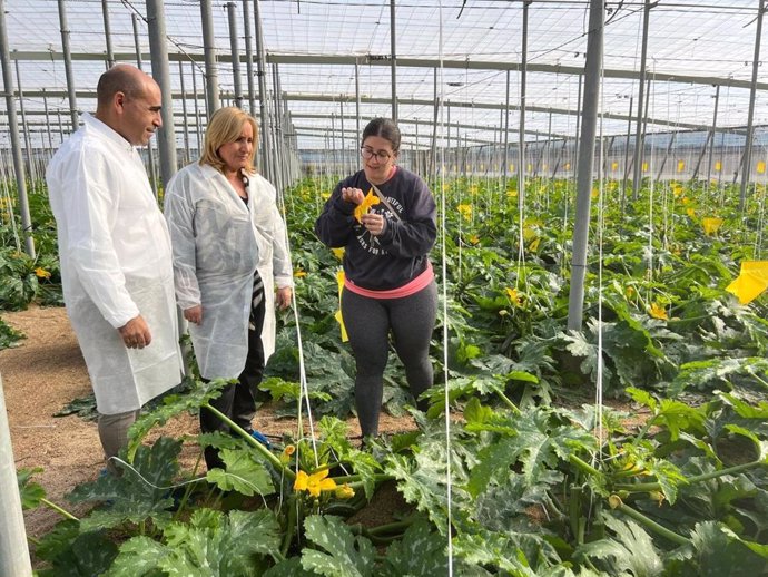 La viceconsejera de Agricultura, Pesca, Agua y Desarrollo Rural, Consolación Vera, visita en la provincia de Almería el invernadero de Lorena López Domínguez