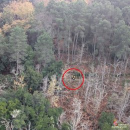 Rescatada una senderista en la Ruta del Agua en Mogarraz (Salamanca).