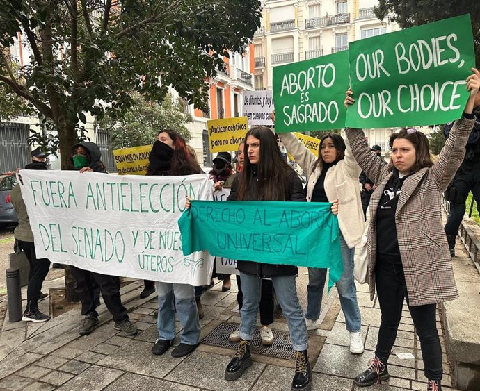 Feministas protestan junto al Senado por la cumbre contra el aborto al grito de "fuera fascistas de las instituciones"