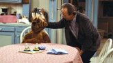 Foto: ALF, la icónica sitcom de los 80, vuelve a la televisión de la mano de Enfamilia