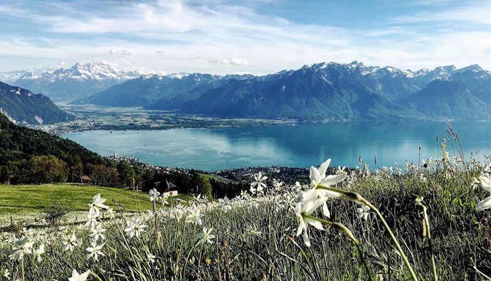 Lago Lemán, vista de Montreux