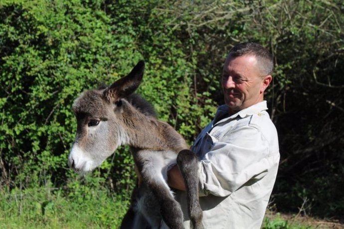 La iniciativa que más apoyos ha tenido en esta edición ha sido 'Caminos de limpieza: Conservación con Burros', de la Asociación Burrito Feliz de Huelva.