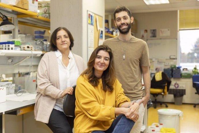 Archivo - De izquierda a derecha: Ana Losada, Ana Cuadrado y Daniel Giménez-Llorente, investigadores del Centro Nacional de Investigadores Oncológicas (CNIO)